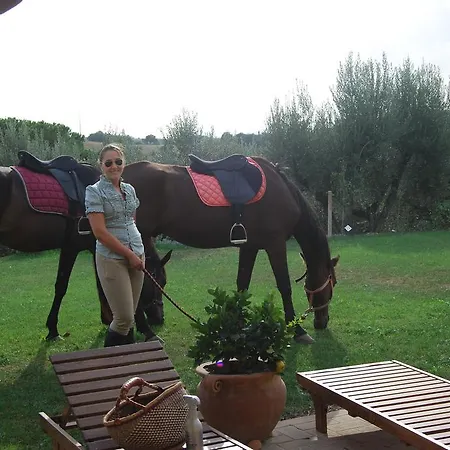 Bed and breakfast La Casa Dei Cavalli