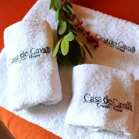 La Casa Dei Cavalli Bed and breakfast