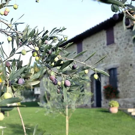 La Casa Dei Cavalli Bed & Breakfast Perugia